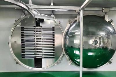 China Máquina de deshidratación por congelación con vacío de grado industrial para alimentos en venta