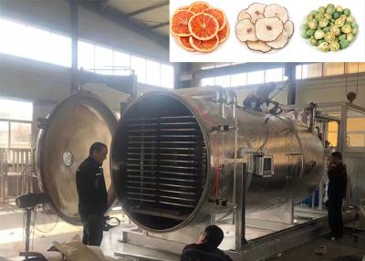 China Refcom Bitzer Vacuum Industrial Freeze Dryer Air Cooling for sale