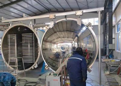 China 100 kg/partido Máquina de deshidratación por congelación Vacío industrial alimentario en venta
