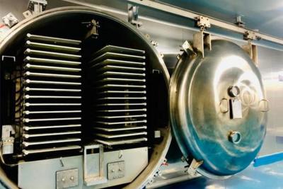 China Máquina para deshidratador de congelación con vacío de alimentos de 200 kg a 100 kg en venta
