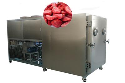China Refrigerador por aire Máquina de secado por congelación industrial de 200 kg de capacidad en venta