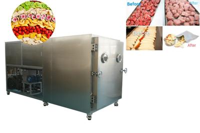 China 100KG Versatile Alat Freeze Dryer Vegetable Freeze Drying Machine for sale