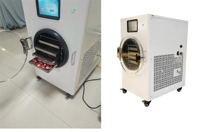 China 4-10 kg Capacidade Secador de congelação para uso doméstico Secador de congelação médio à venda