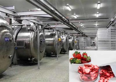 China 100KG Food Vacuum Freeze Dryer Industrial Freeze Drying Equipment for sale