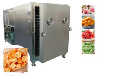 China Sublimación Alimentos industriales aspirador secador de congelación refrigeración por aire en venta