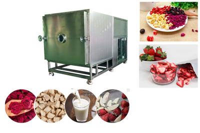 China High Capacity Food Vacuum Freeze Dryer 100 Kg/Batch Freeze Dry Fruit Machine for sale