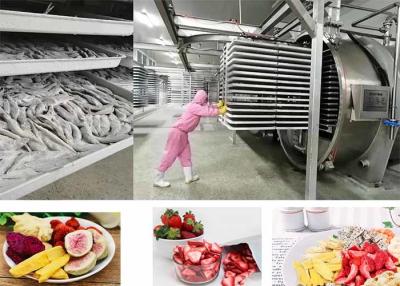 China Seca congeladora de alimentos a vacío controlada por PLC 200 kg/partido en venta