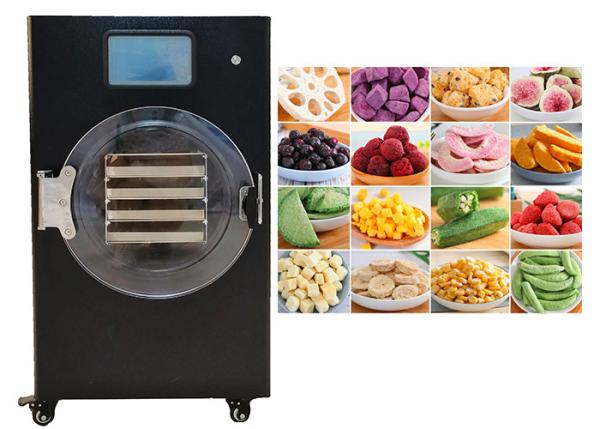 Quality 1Kg 2Kg 4Kg 6kg Mini Freeze Dryer Home Pet Food Vacuum for sale