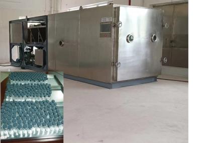 China Vacuum Freeze Dryer Pharmaceutical Industry Electric Heating for sale