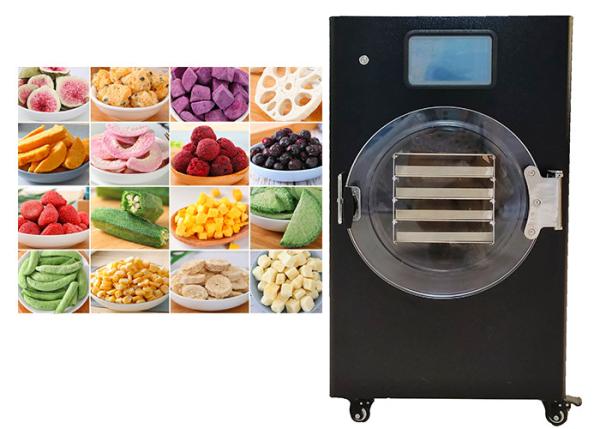Quality 10kg/Batch Food Mini Freeze Dryer 18-24 Hours Freezing Drying Time for sale