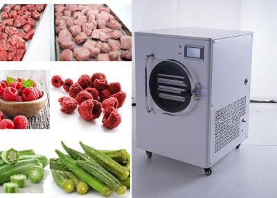 China Electric Heating Home Food Freeze Dryer 4-6kg 4 Or 6 Trays for sale