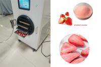 Quality Stainless Steel Home Mini Freeze Dryer LCD Touch Screen for sale