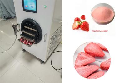 China Stainless Steel Home Mini Freeze Dryer LCD Touch Screen for sale