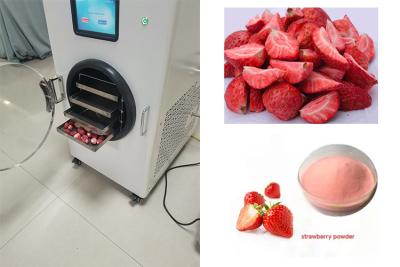 China 6 kg de mini secador de congelación control PLC calefacción eléctrica en venta