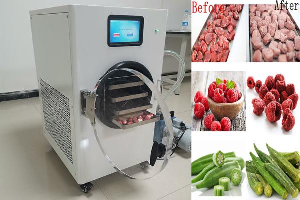 Quality 6 Layers Freeze Dryer Machine Small Electric Heating Pet Food for sale