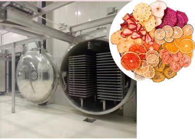 Китай Материнское молоко пищевая вакуумная морозильная сушилка 400 кг/партия Электрическое отопление продается