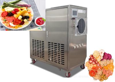 China 50Kg 100Kg Vegetable Freeze Dryer Automatic Vacuum Freeze Dryer Machine For Industrial for sale