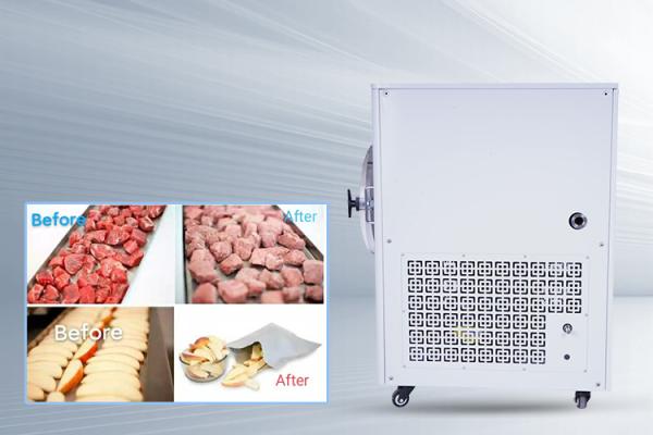 Quality -50C- 50C Tempe Mini Freeze Dryer 10kg/Batch Air Cooled for sale