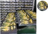 Quality Large Food Vacuum Freeze Dryer PLC Control 500 Kg/Batch for sale