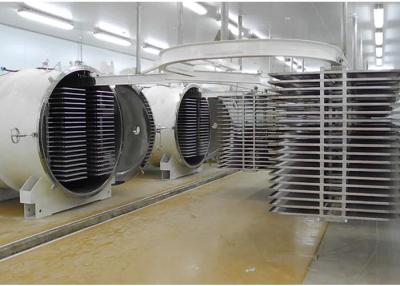 China Secador de congelamento a vácuo de alimentos a escala industrial 300 kg/lotação à venda