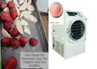 china Food Fruit Vegetable Mini Freeze Dryer For Home Use