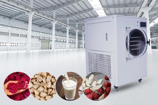 Quality 6 Layers Freeze Dryer Machine Small Electric Heating Pet Food for sale