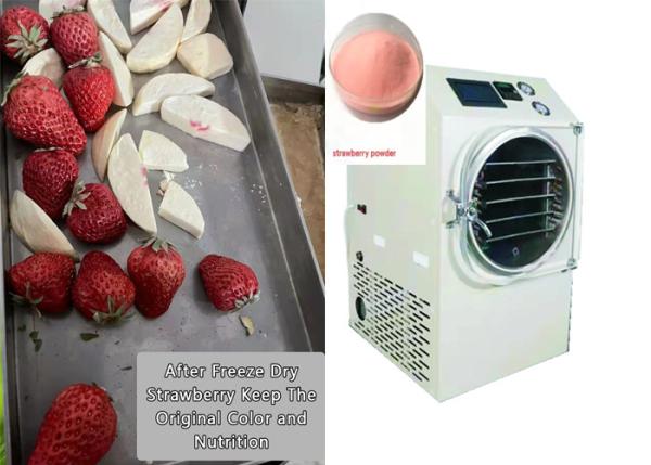 Quality Silent Home Freeze Dryer 6-8Kg Capacity For Food Preservation for sale