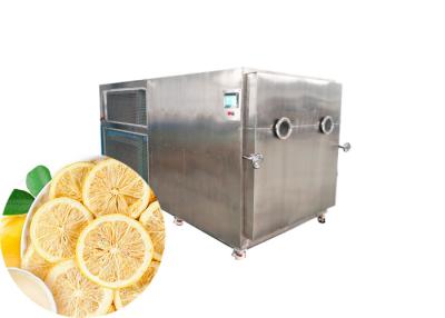 China Máquina de secado por congelación industrial de frutas secas 200 kg/partido en venta