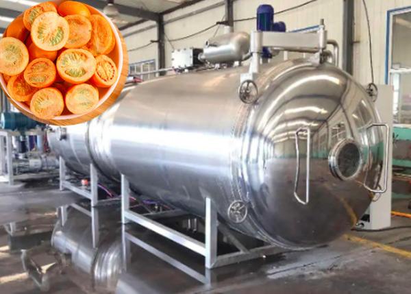 Quality Remote Control Industrial Vegetable Freeze Dryer 50Kg/batch for sale