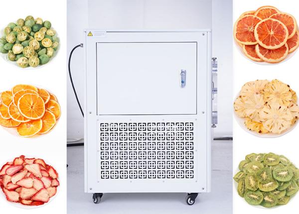 Quality 4-10kg Capacity Home Freeze Dryer Medium Freeze Drying Machine for sale