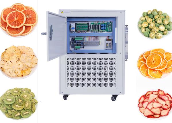 Quality Stainless Steel Home Mini Freeze Dryer LCD Touch Screen for sale