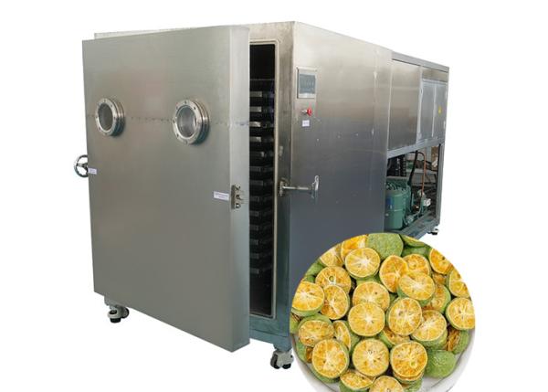 Quality 100Kg Food Vegetable Freeze Dryer Bitzer Refrigeration Unit Active for sale