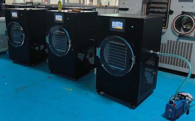 China Máquina de secagem por congelamento doméstica de controle PLC de aço inoxidável com capacidade de 6 a 8 kg à venda