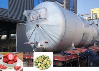 China Large Industrial Freeze Dryer Machine 300Kg 500Kg 1000Kg for sale