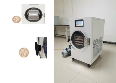China Experience the Benefits of Home Freeze Dryer for Food Preservation for sale