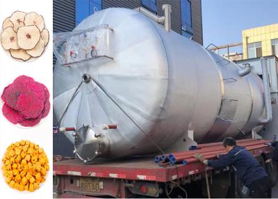 China 300kg Industrial Freeze Dryer Large Dehydrator Drying Machine for sale