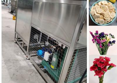 China Máquina de secagem por congelamento de 200 kg Leybold Sistema de refrigeração à venda