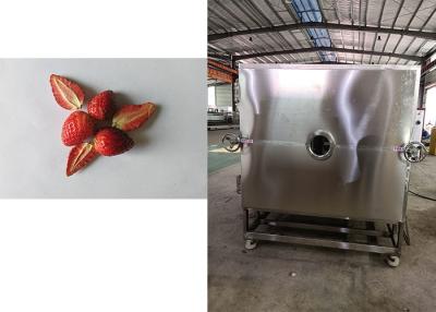 China Sistema de refrigeração Leybold Máquina de secagem por congelamento a vácuo de alimentos Confiável à venda