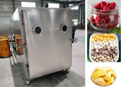 China Máquinas industriais de liofilização de alimentos à venda