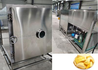 Chine PLC contrôle congélation des fruits secs équipement de la machine 100Kg 200Kg à vendre