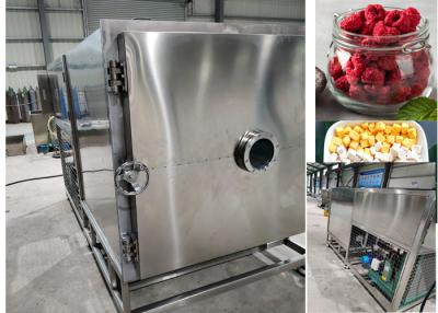 China Remote Control Large  Food Freeze Dryer for Food Industry for sale