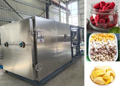 China Large Food Milk Vacuum  Freeze Dry Fruit Machine with 100kg/batch for sale