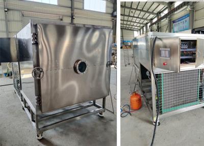 China 50kg100Kg Vacuum Food Lyophilizer Freeze Dryer Machine for sale