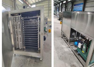 China 50kg 100Kg 200Kg Capacity Lyophilizer Freeze Dryer Vacuum Machine for sale