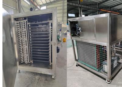 China Industrial Lyophilizer Freeze Dryer Machine Bitzer Refrigeration System for sale