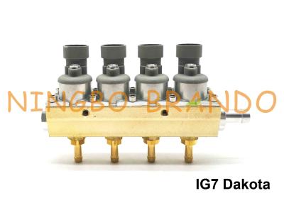 China RAIL Type IG7 Dakota Navajo Injector Rail 2 Ohm 4 Cylinder Aluminum Body For LPG CNG for sale