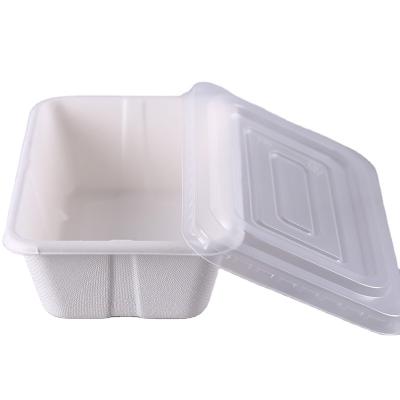 China 500ml Biodegradable Microwavable  Bagasse Food Containers With Clear Lid for sale