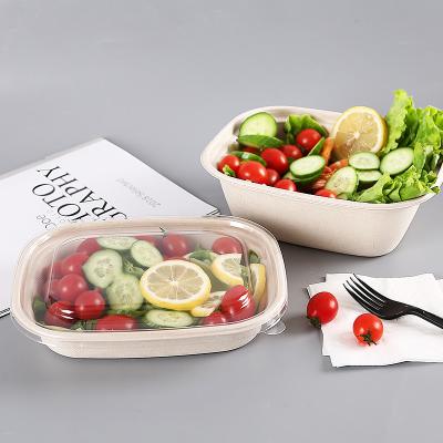 China Thermal Recycle  Biodegradable 500ml Pulp Food Containers for sale