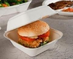 China Biodegradable Sugarcane Pulp Paper Burger Box with Connected Lid for sale