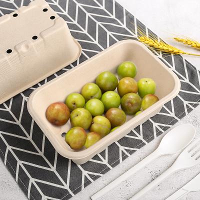 China Biodegradable Bagasse Fruit Tray with Holes for Blueberry Strawberry for sale
